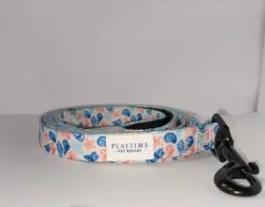 Leash