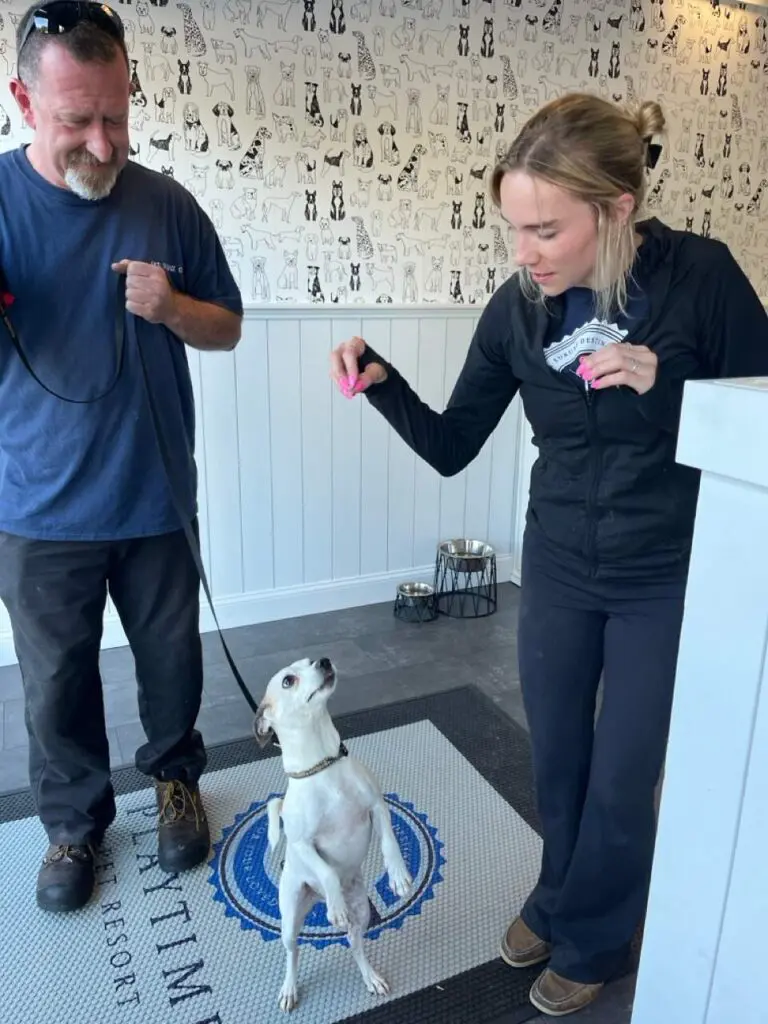 Exeter, NH - Playtime Pet Resort