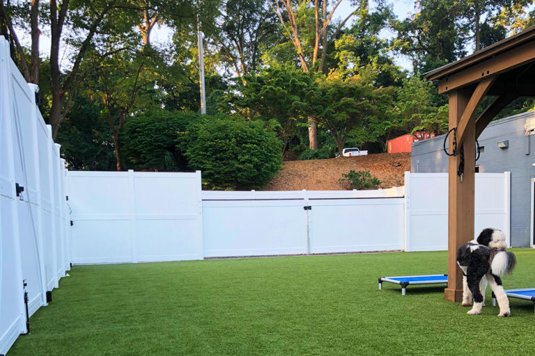 About Playtime Pet Resort Serving Philadelphia & King of Prussia PA