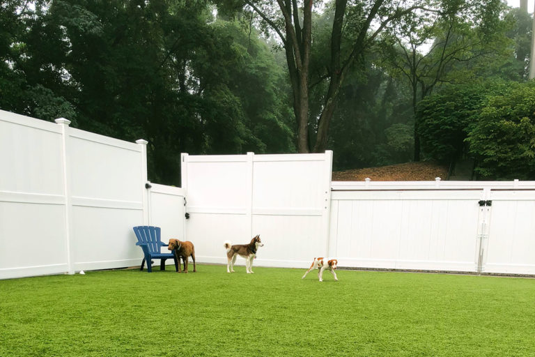 About Playtime Pet Resort Serving Philadelphia & King of Prussia PA