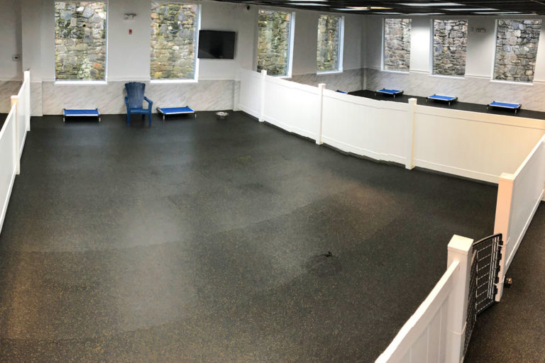 About Playtime Pet Resort Serving Philadelphia & King of Prussia PA