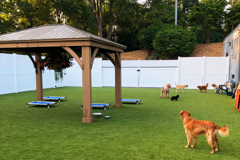 About Playtime Pet Resort Serving Philadelphia & King of Prussia PA