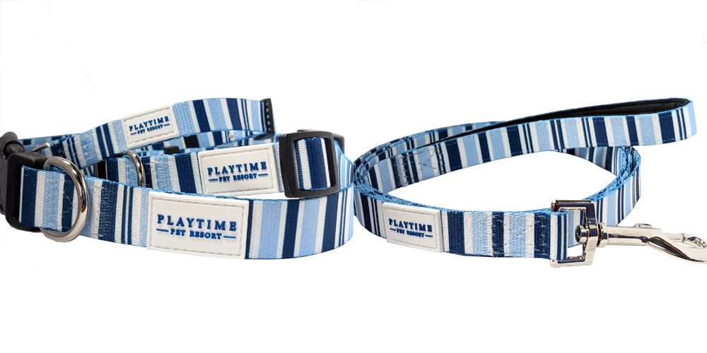 PPR Blue Collar and Leash Set