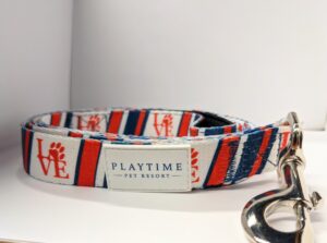 Leash - Image 2