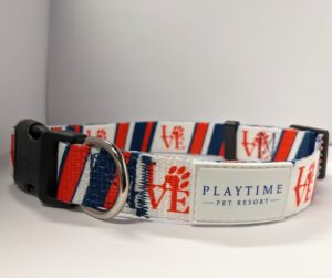 Dog Collar