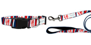 Collar & Leash Set - Image 3