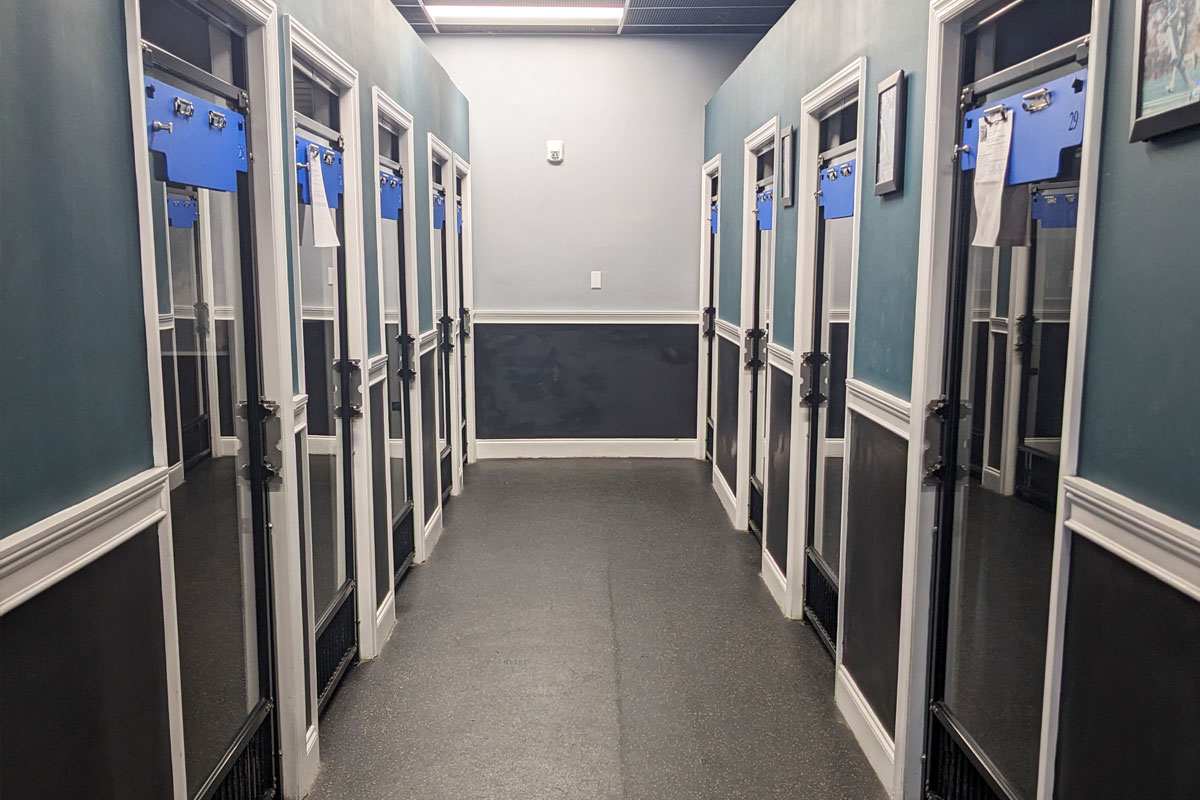 Photo of the Eagles Suites hallway with doors to the individual boarding rooms