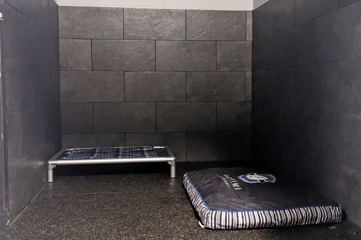 Photo of an individual dog boarding room in the Eagles Suites section of the facility
