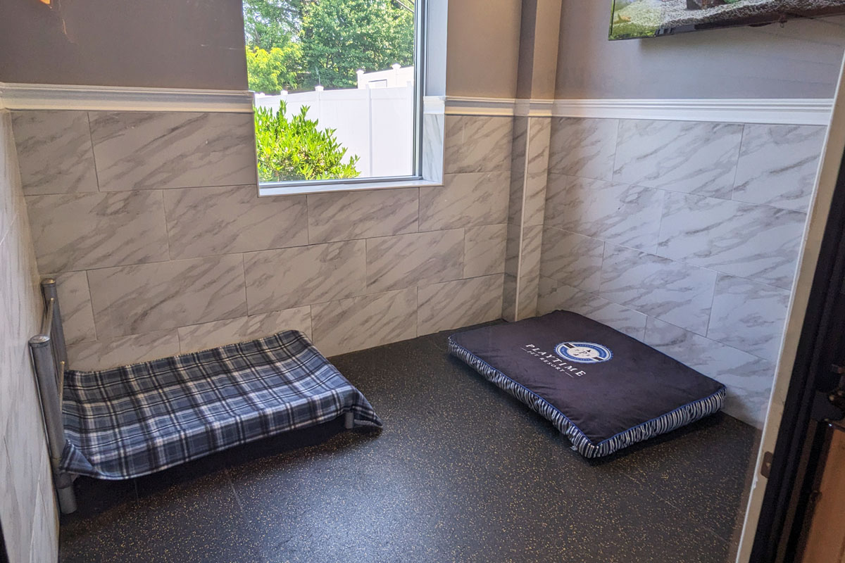 Photo of a dog boarding room in Elfreth's Alley
