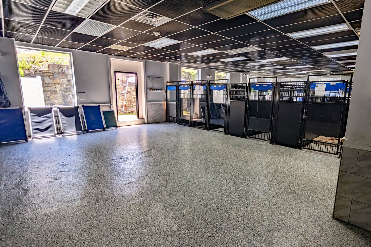 Photo of the interior play space of the facility