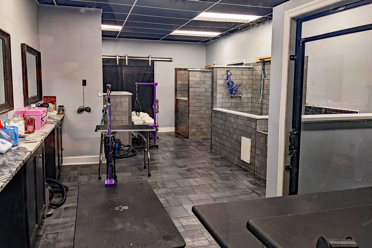 Photo of the grooming room and washing stations