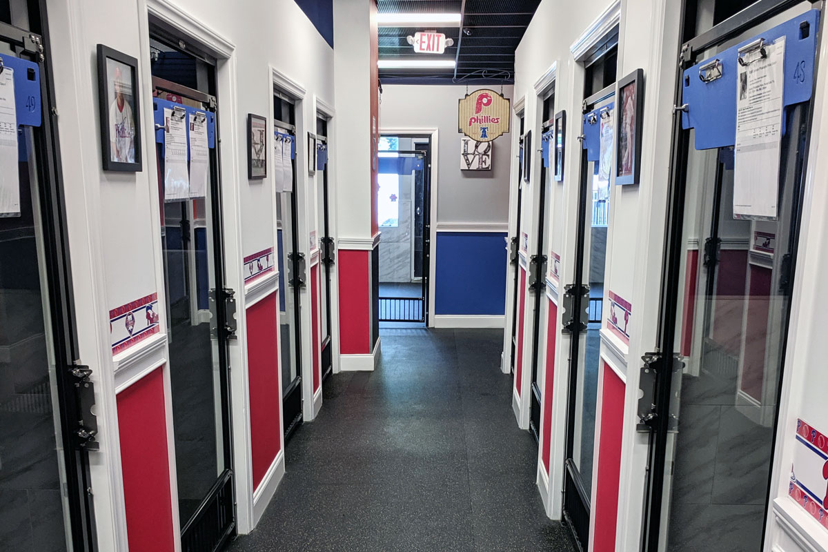 Photo of the Phillies Suites hallway with doors to individual boarding rooms