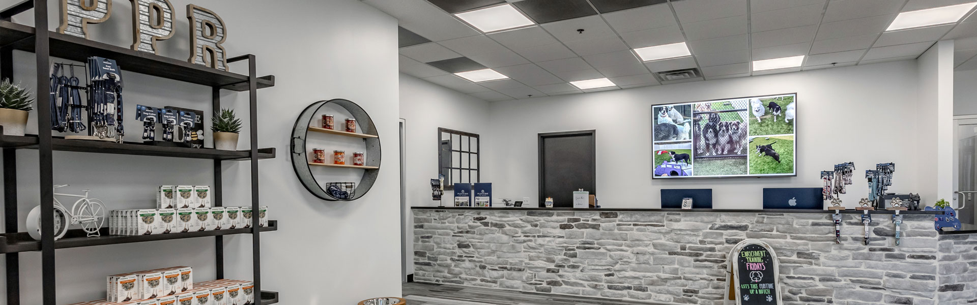 Dog Boarding and Daycare Downingtown PA Playtime Pet Resort