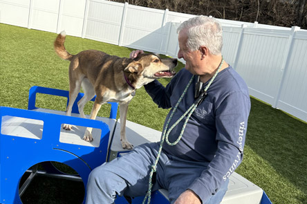 staff with dog in daycare