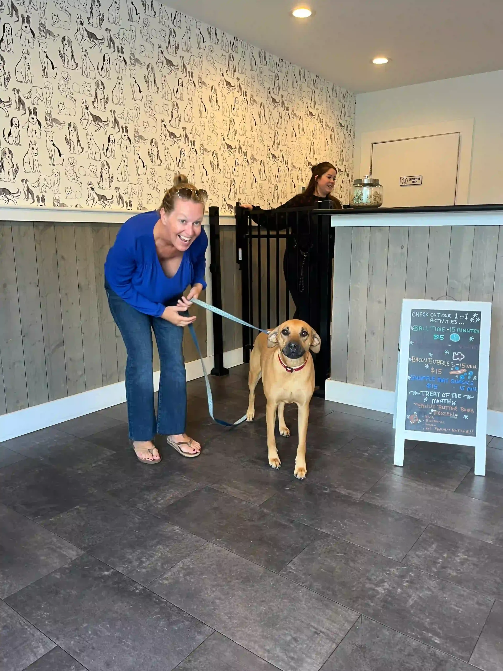 happy dog getting taken out of lobby