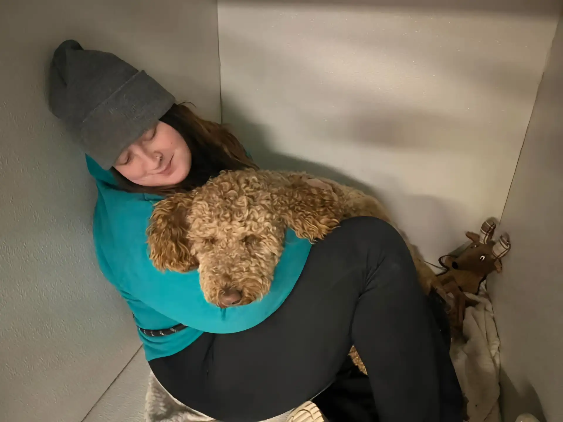dog cuddling with a worker