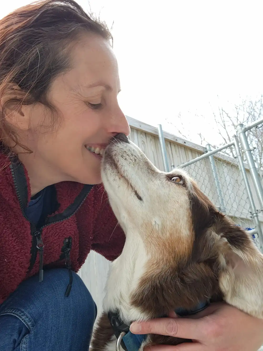 dog sharing a kiss with a care person