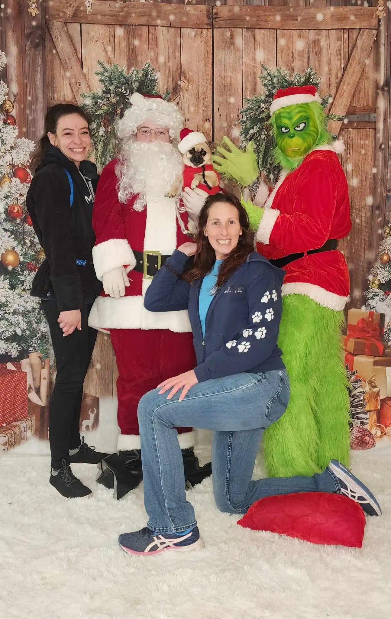 christmas image with the grinch
