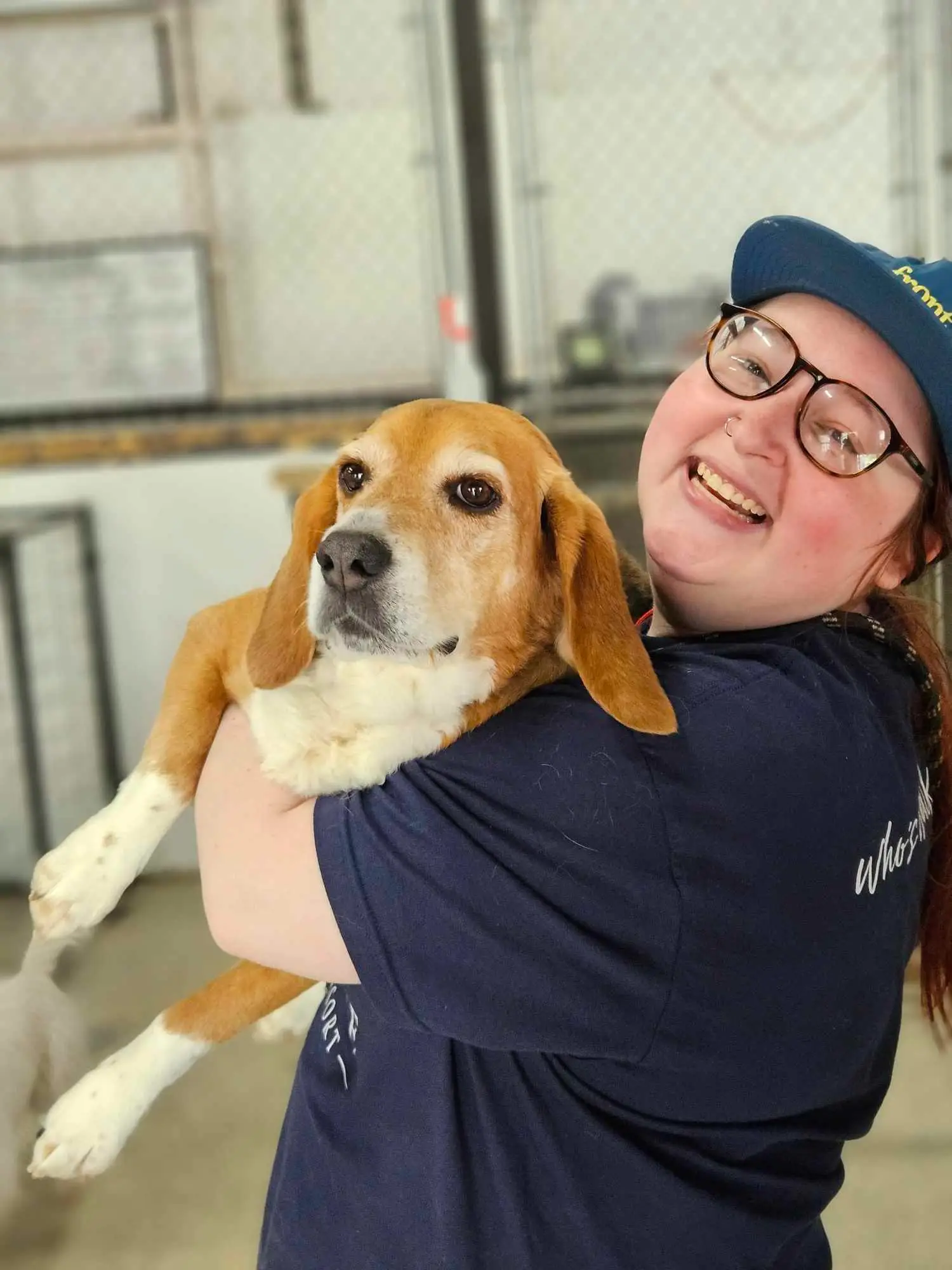 worker picking up a beagle