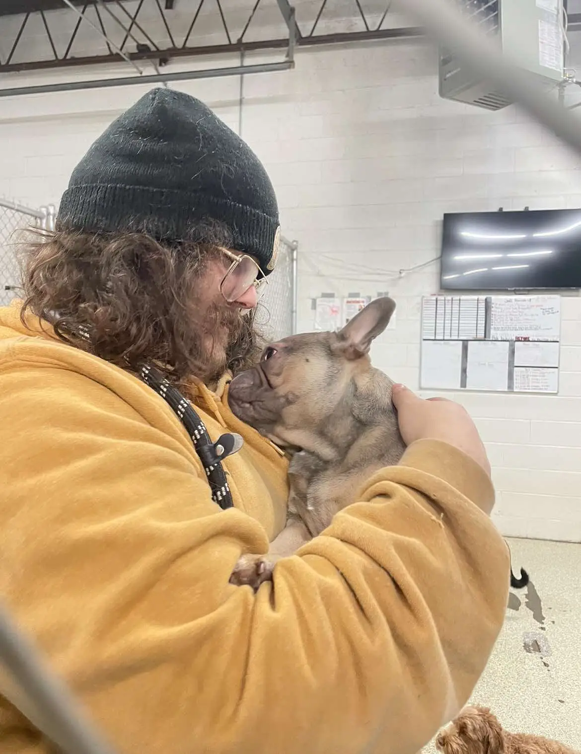 dog sharing kisses with owner