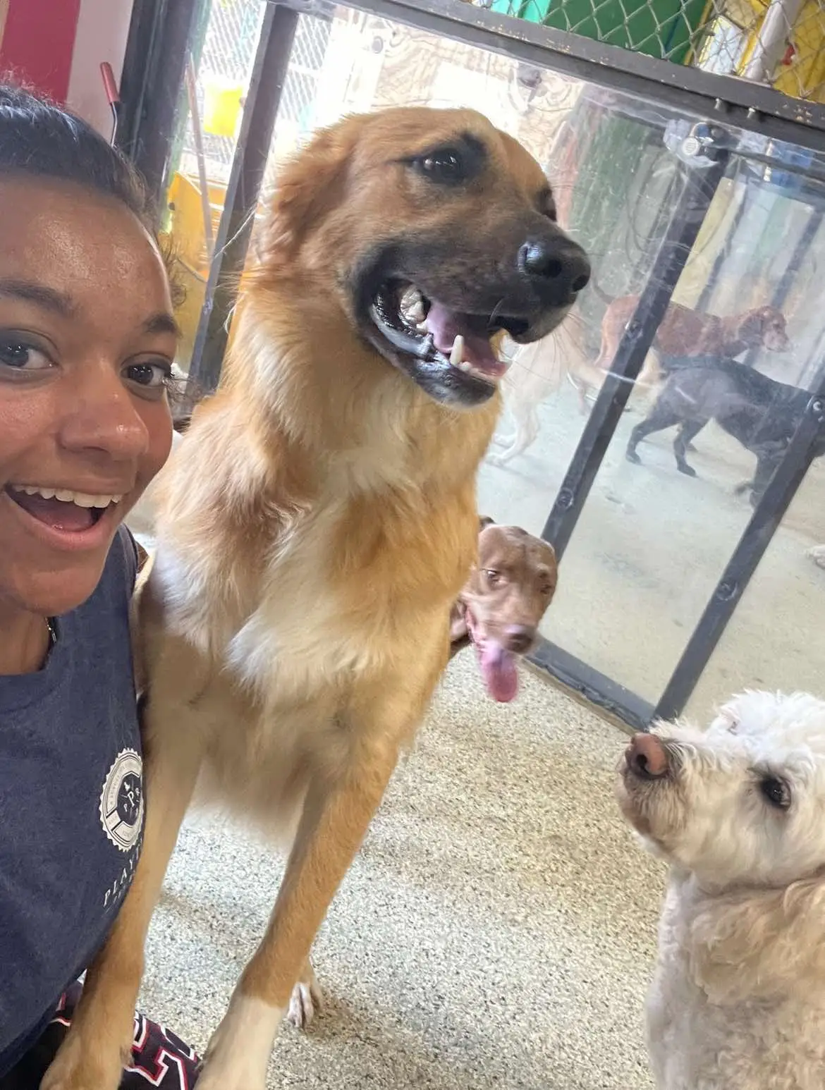 selfie with the dogs